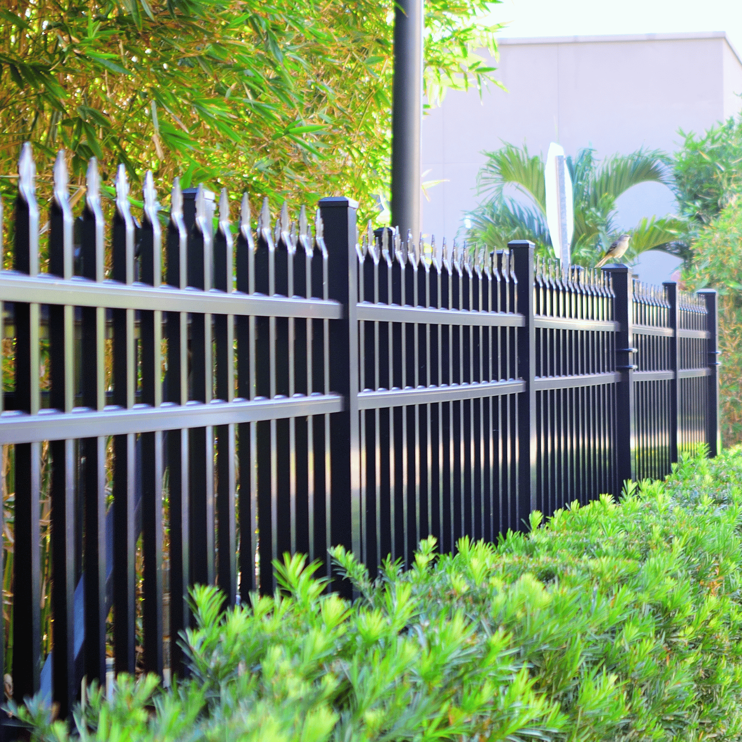 Fencing & Gates