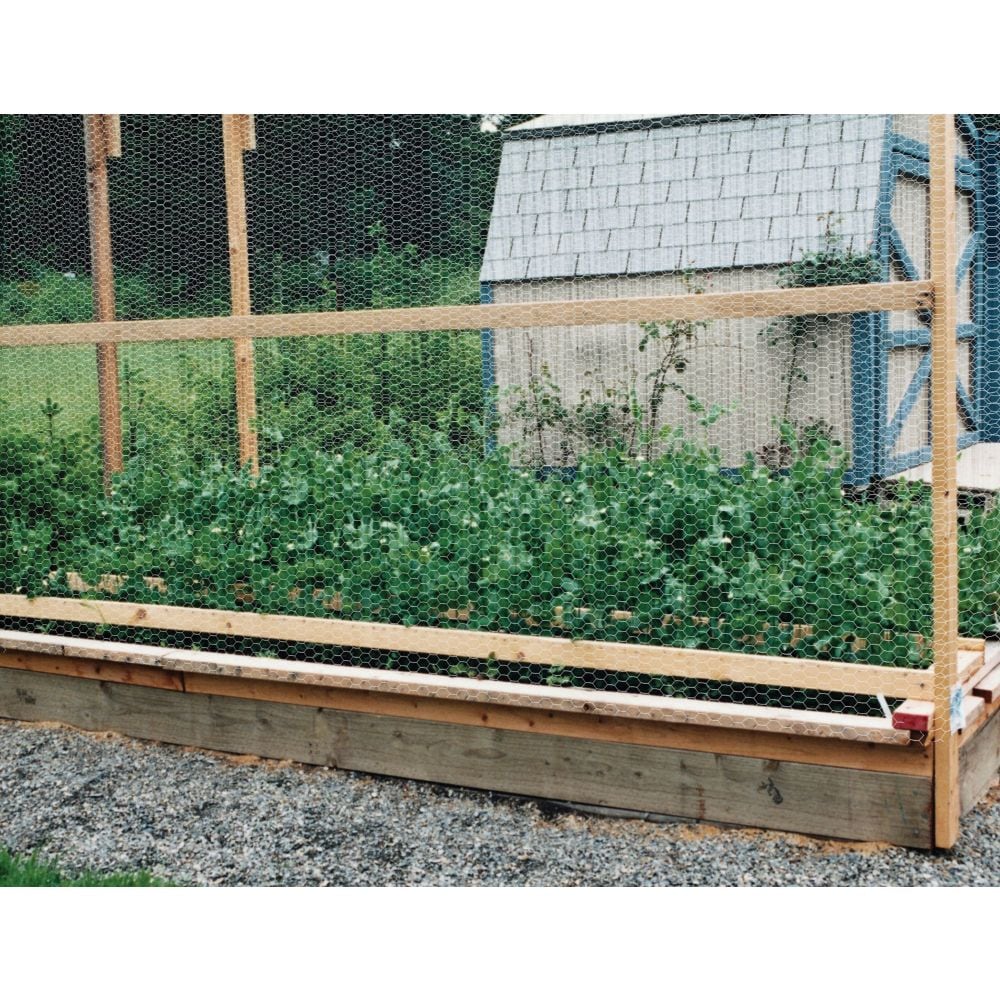 25 ft. L x 24-inch H Hexagonal Galvanized Steel Chicken Wire with 1-inch x 1-inch Mesh