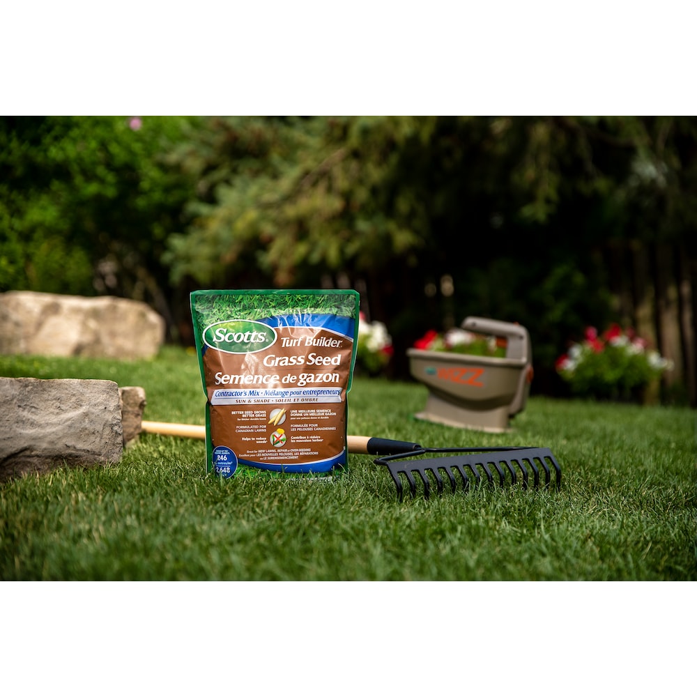 Mélange de semences de gazon pour entrepreneurs Turf Builder 1 kg