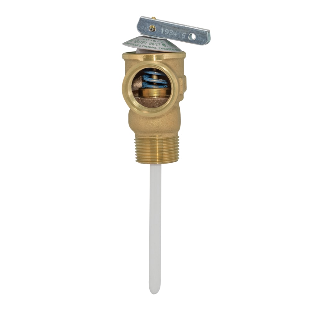 Temperature and Pressure Relief Valve