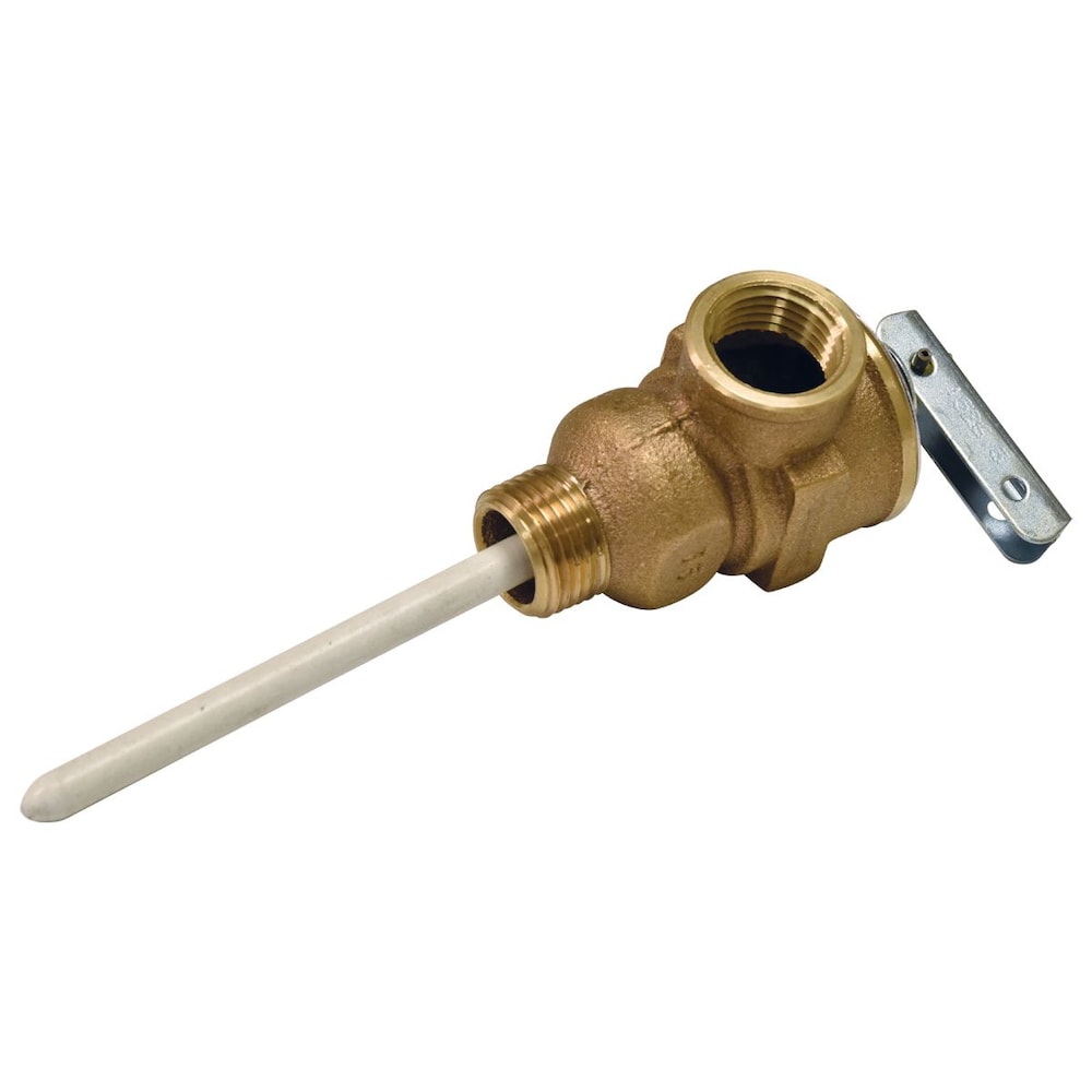 Temperature and Pressure Relief Valve