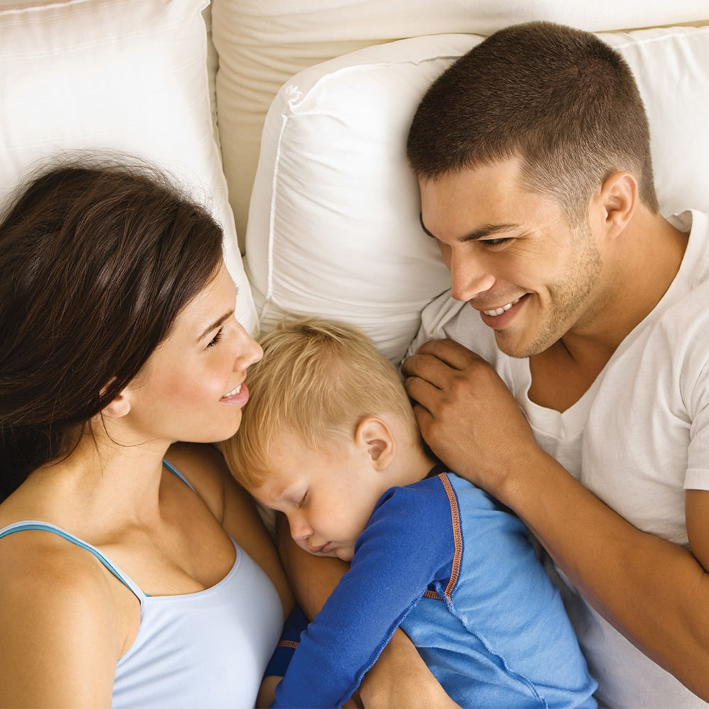 Comfortbatt R14 24 inch O.C. For 2x4 Wood Studs