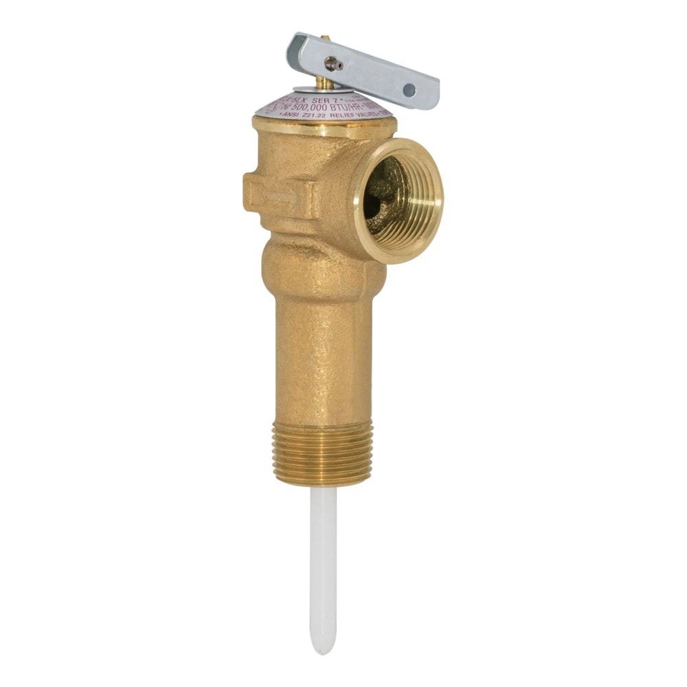 Temperature and Pressure Relief Valve
