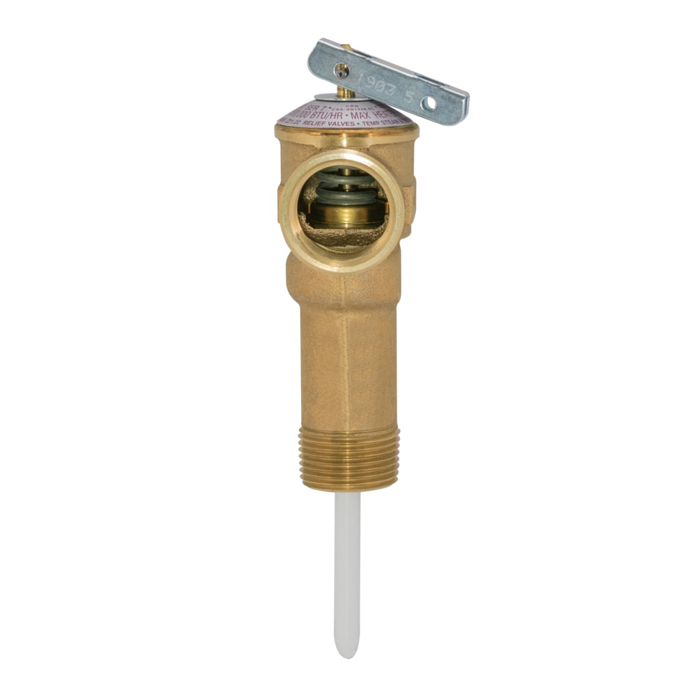 Temperature and Pressure Relief Valve