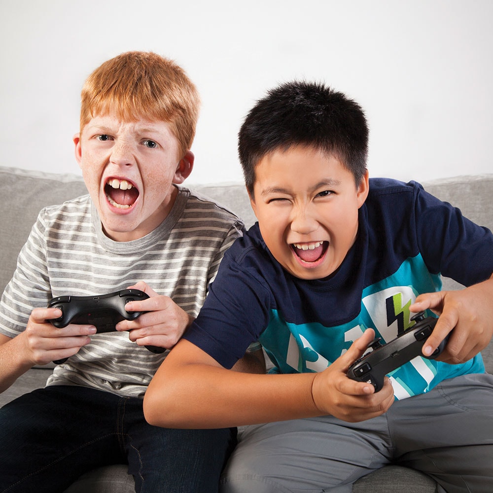 Safe'n'Sound 24 inch O.C. For 2x4 Wood Studs