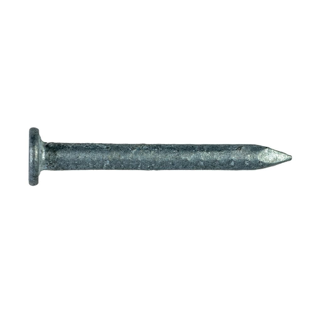 Strong-Drive Clou de connecteur HDG à tige lisse SCN de 1 1/2 po x 0,148 po (paquet de 120)