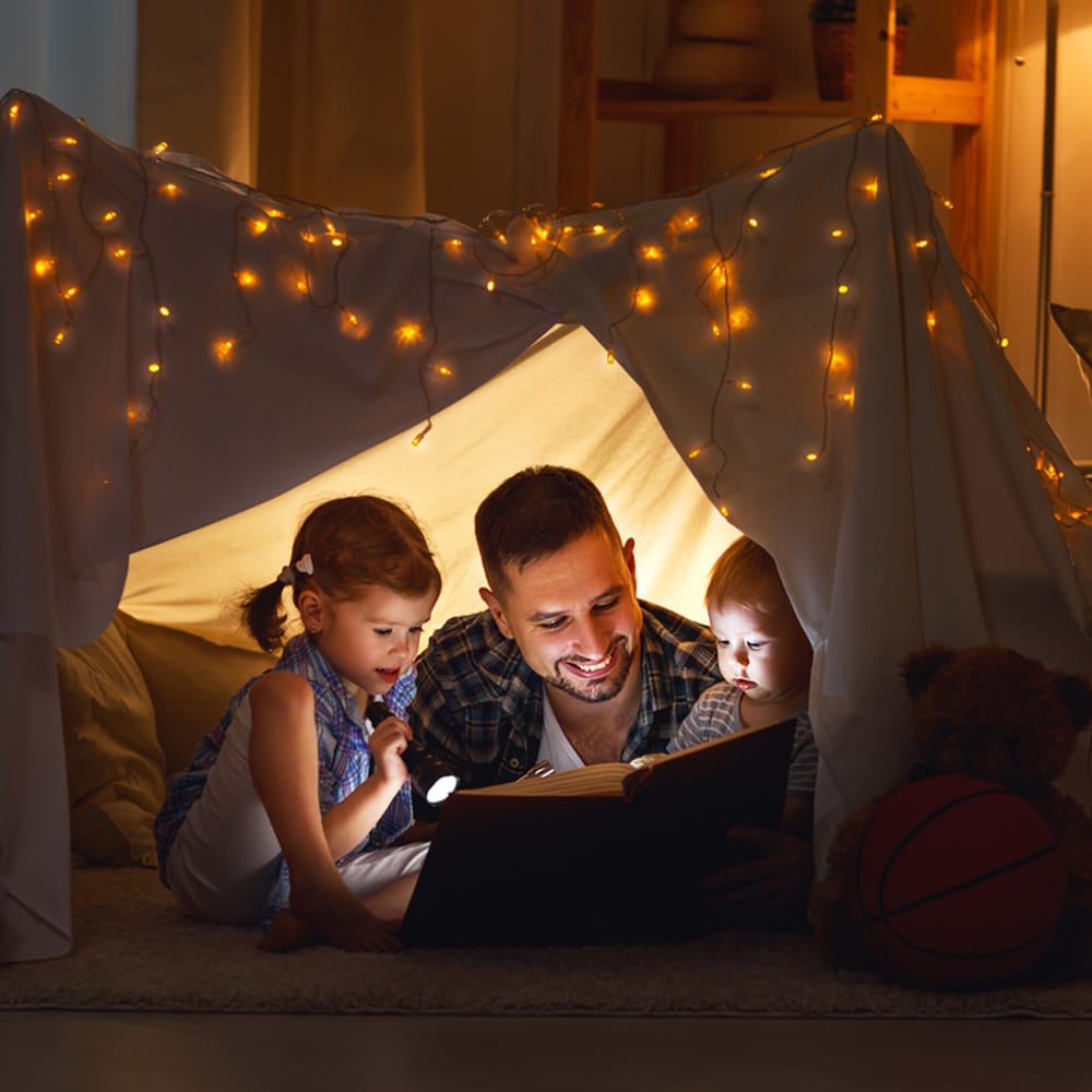 Safe'n'Sound 16 inch O.C. For 2x4 Wood Studs