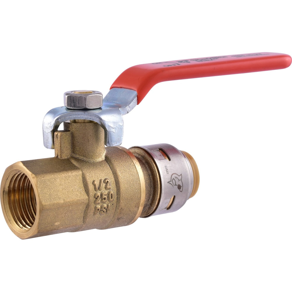 1/2 inch x 1/2 inch Female (FNPT) Brass Push-to-Connect Ball Valve