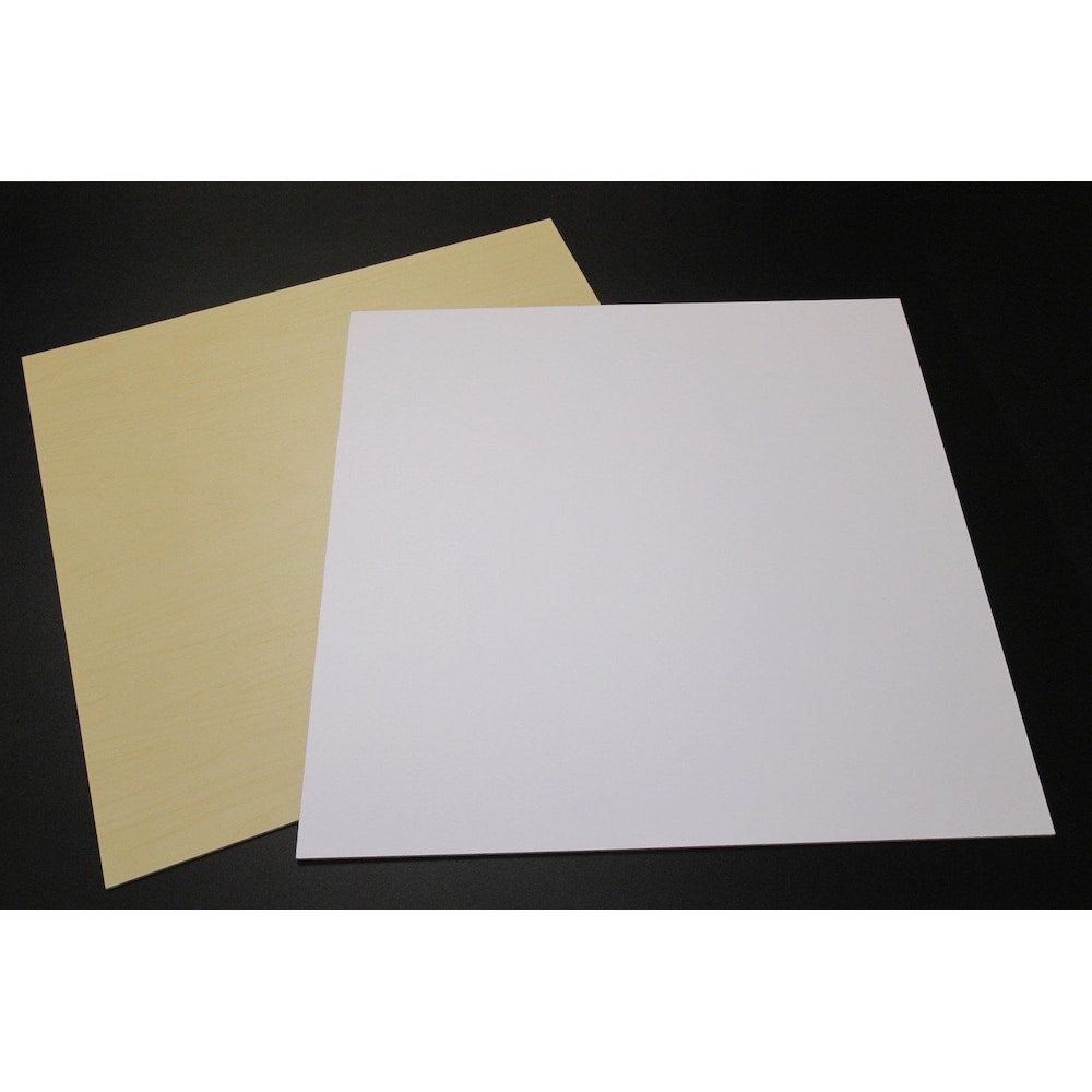 White Panel(5) 22.5 Inch X 22.5 Inch
