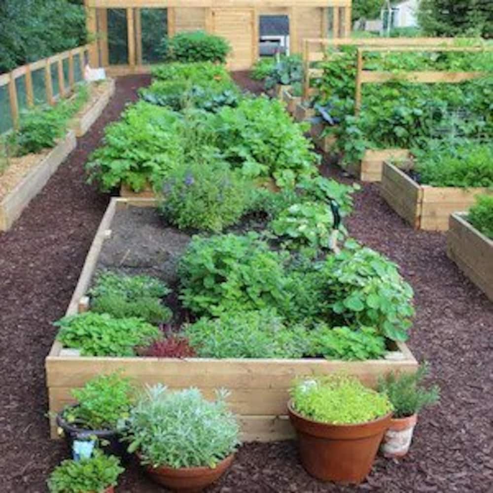 2 x 6 x 16' Pressure Treated Wood (Above Ground Use Only)