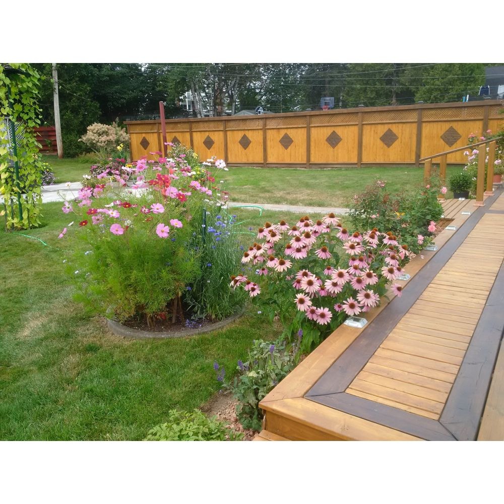 1 x 1 x 48" Pressure Treated Wood Nailing Strip