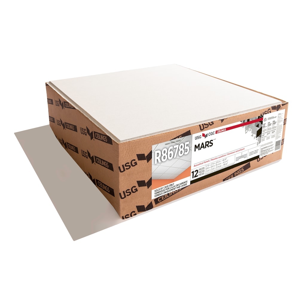 2 ft. x 2 ft. Mars Lay-in Ceiling Tile (Sold by Case - Pack of 12)