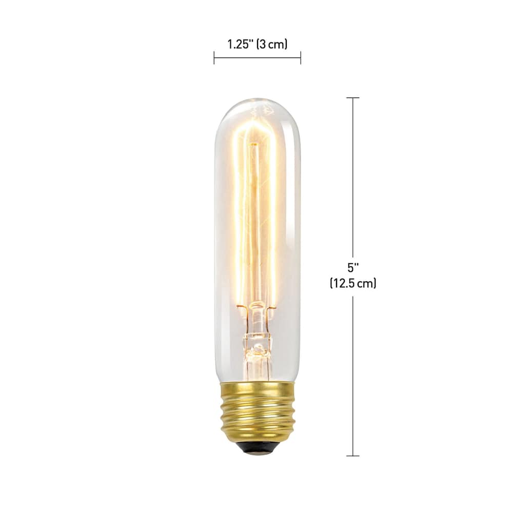 60 Watt Incandescent E26 Base T10 Edison Vintage Radio Tube Filament Light Bulb