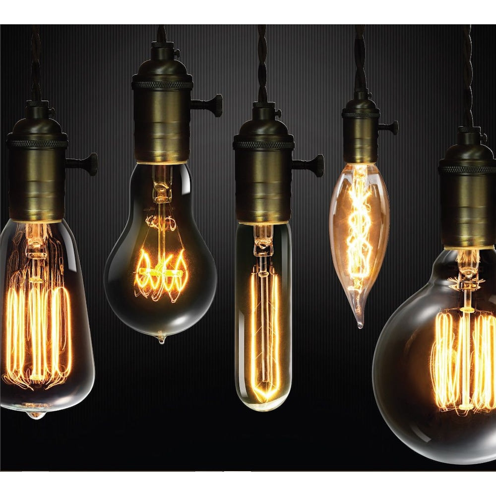 Ampoule à incandescence à filament cage d'écureuil Edison 60 W vintage S60 avec culot E26 (lot de 12)