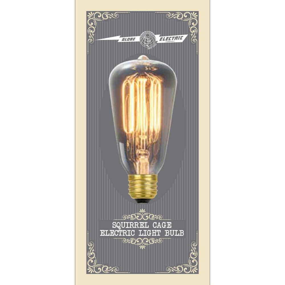 Ampoule à incandescence à filament cage d'écureuil Edison 60 W vintage S60 avec culot E26 (lot de 12)