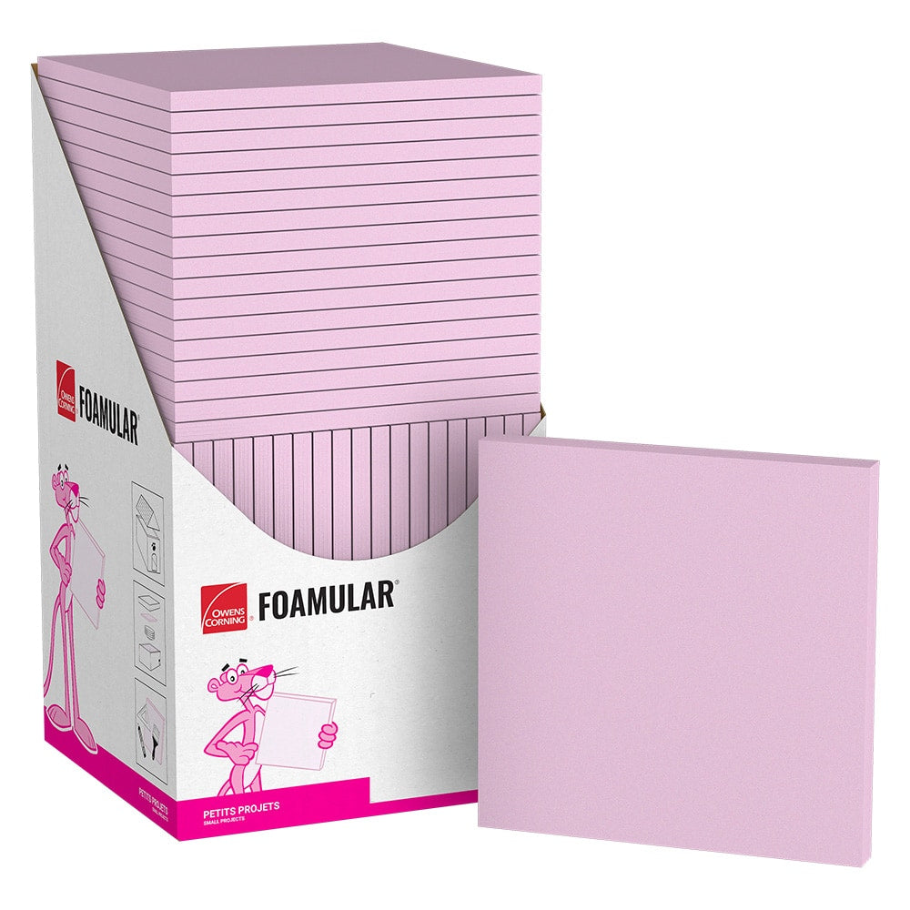 FOAMULAR 24-inch. x 24-inch Foam Insulation Project Panel; Mold and Moisture Resistant