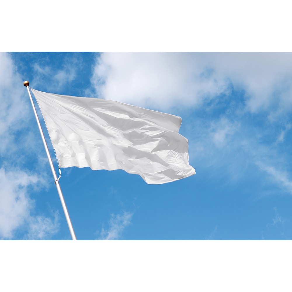 3/32-in x 1/8-in x 50 ft. PVC Coated Galvanized Steel 7x7 Aircraft Cable Set, 184 lb. Safe Working Load (7 Pieces)