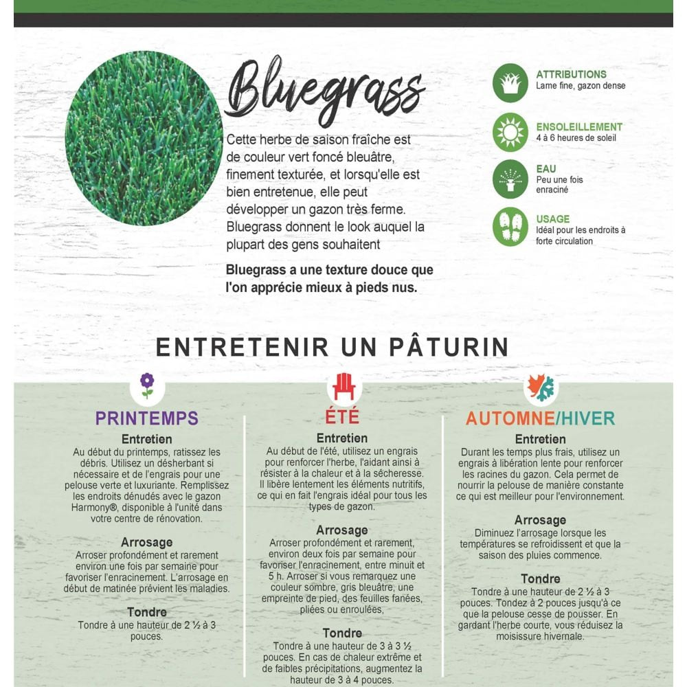 Gazon en plaques - 750 pieds carrés