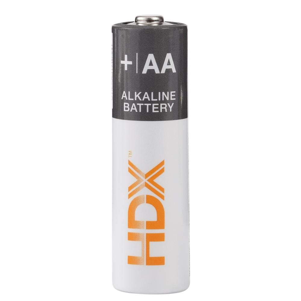AA Alkaline Battery (100-Pack)