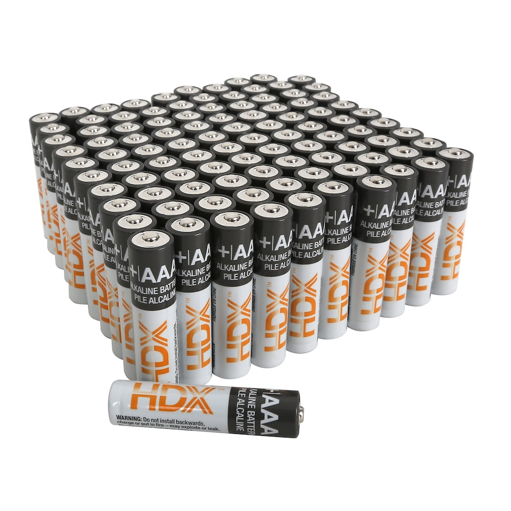 AAA Alkaline Battery (100-Pack)