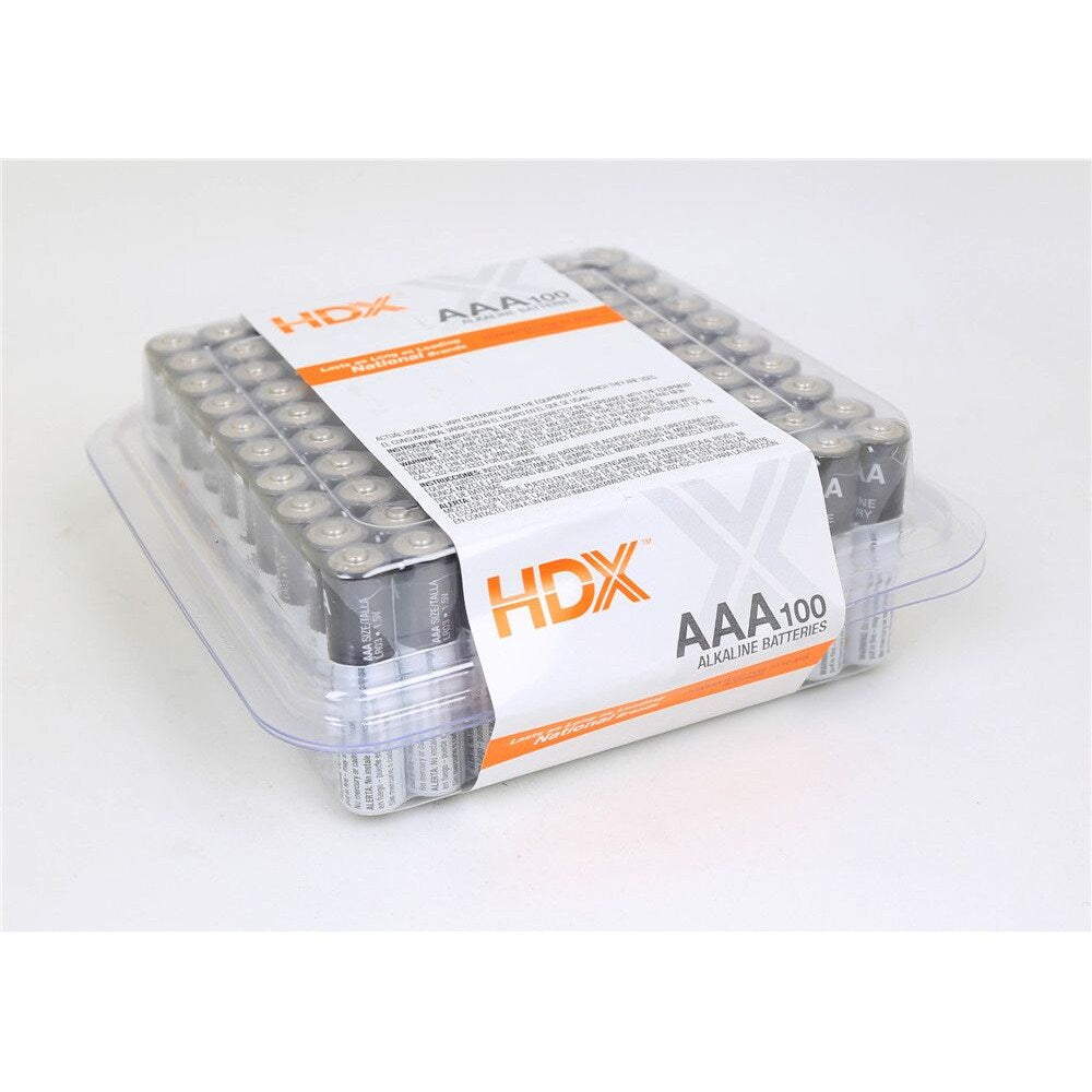 AAA Alkaline Battery (100-Pack)