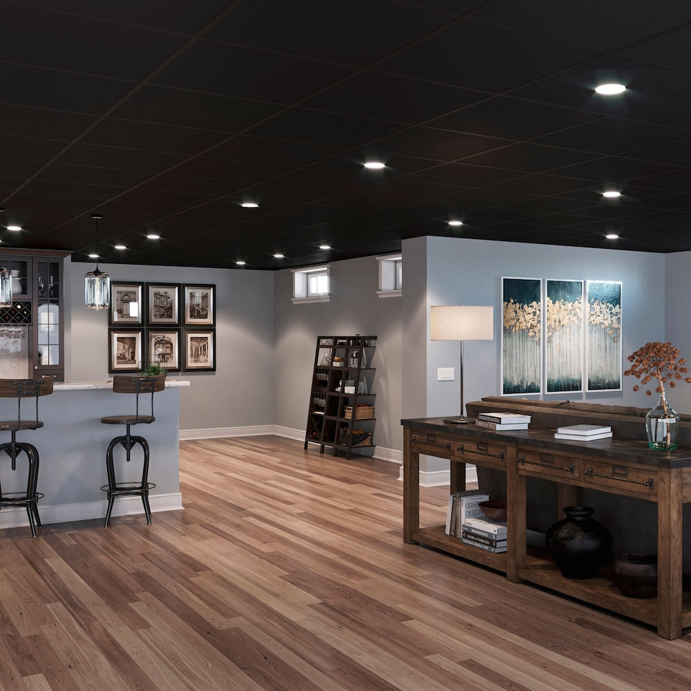 Panneau de plafond noir Smooth Pro de 2 pi x 2 pi, carton de 12