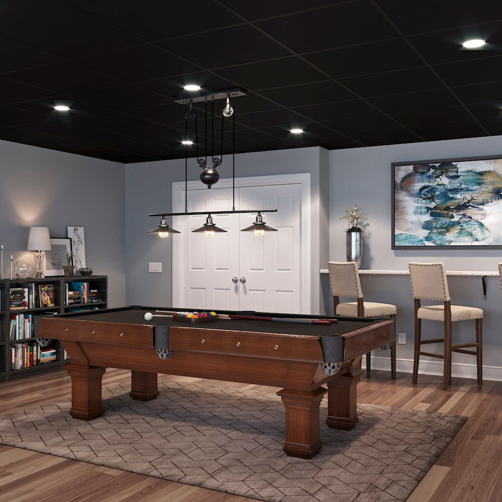 2 ft. x 2 ft. Smooth Pro Black Ceiling Panel Carton of 12