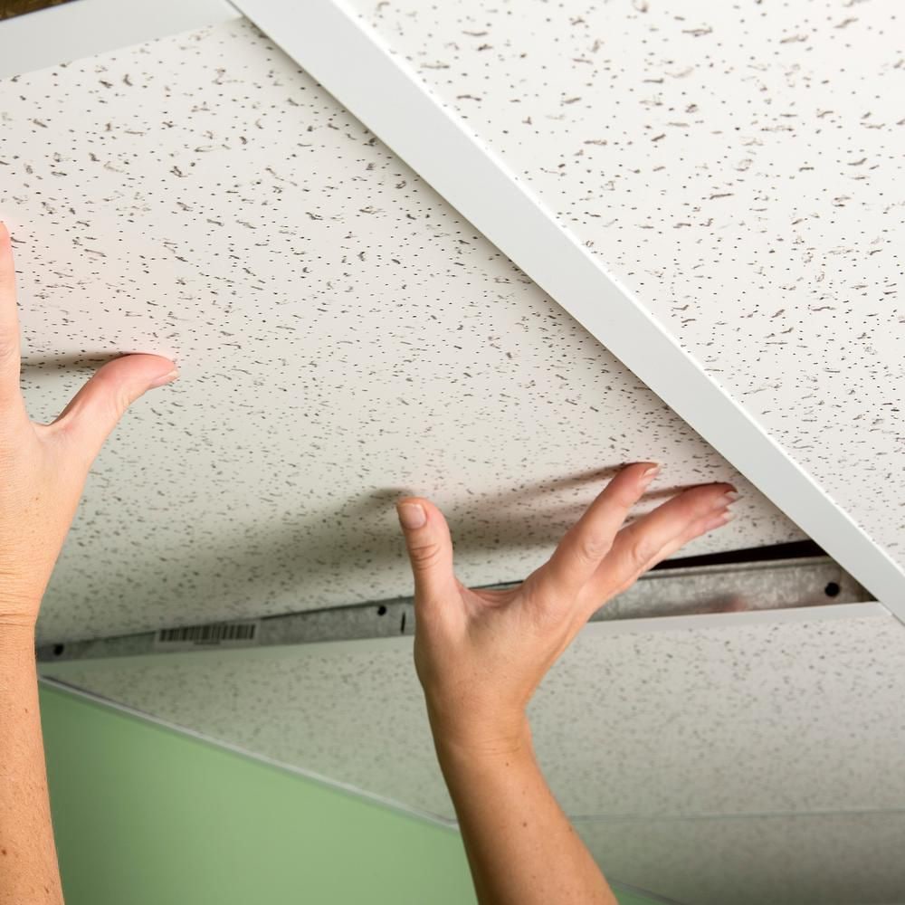 Panneau de plafond professionnel imprimé de 2 pi x 2 pi, carton de 12