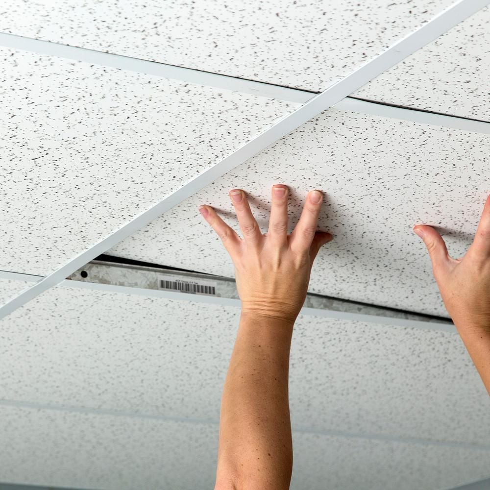 Panneau de plafond professionnel imprimé de 2 pi x 4 pi, carton de 10
