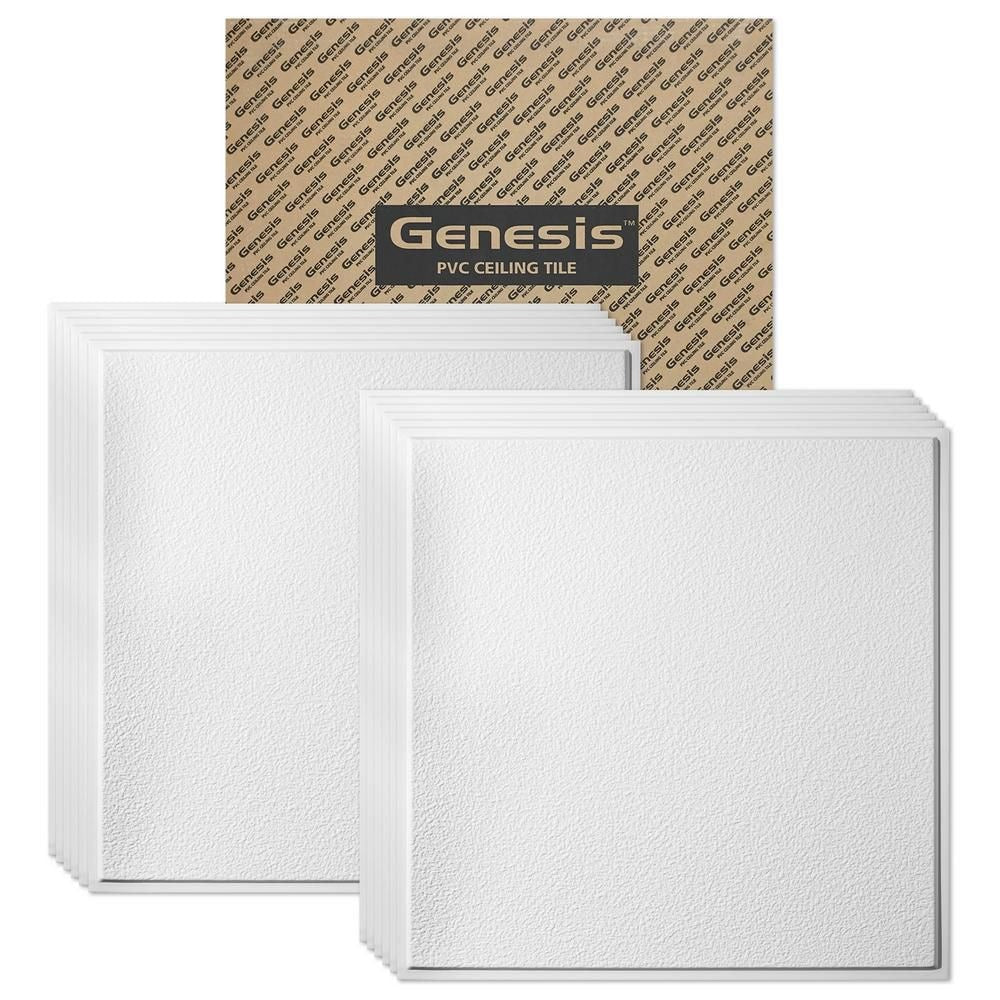 Panneau de plafond Stucco Pro RE blanc de 2 pi x 2 pi, carton de 12