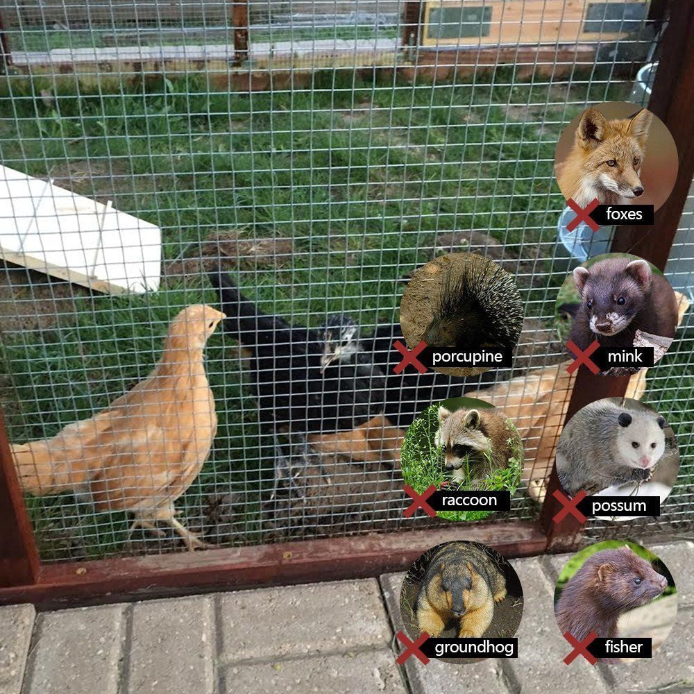 1/2 inch x 2 ft. x 50 ft. 19-Gauge Hardware Cloth