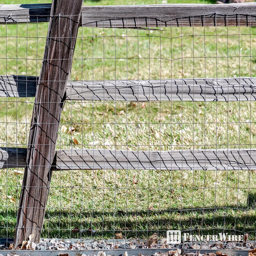 2 inch x 4 inch 5 ft. x 100 ft. 12.5-Gauge Galvanized Welded Fence
