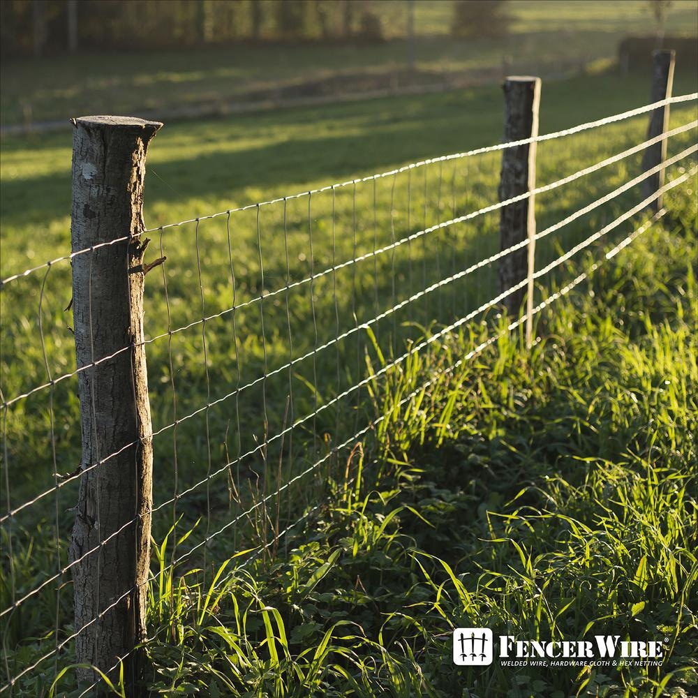 2 inch x 4 inch 5 ft. x 100 ft. 12.5-Gauge Galvanized Welded Fence