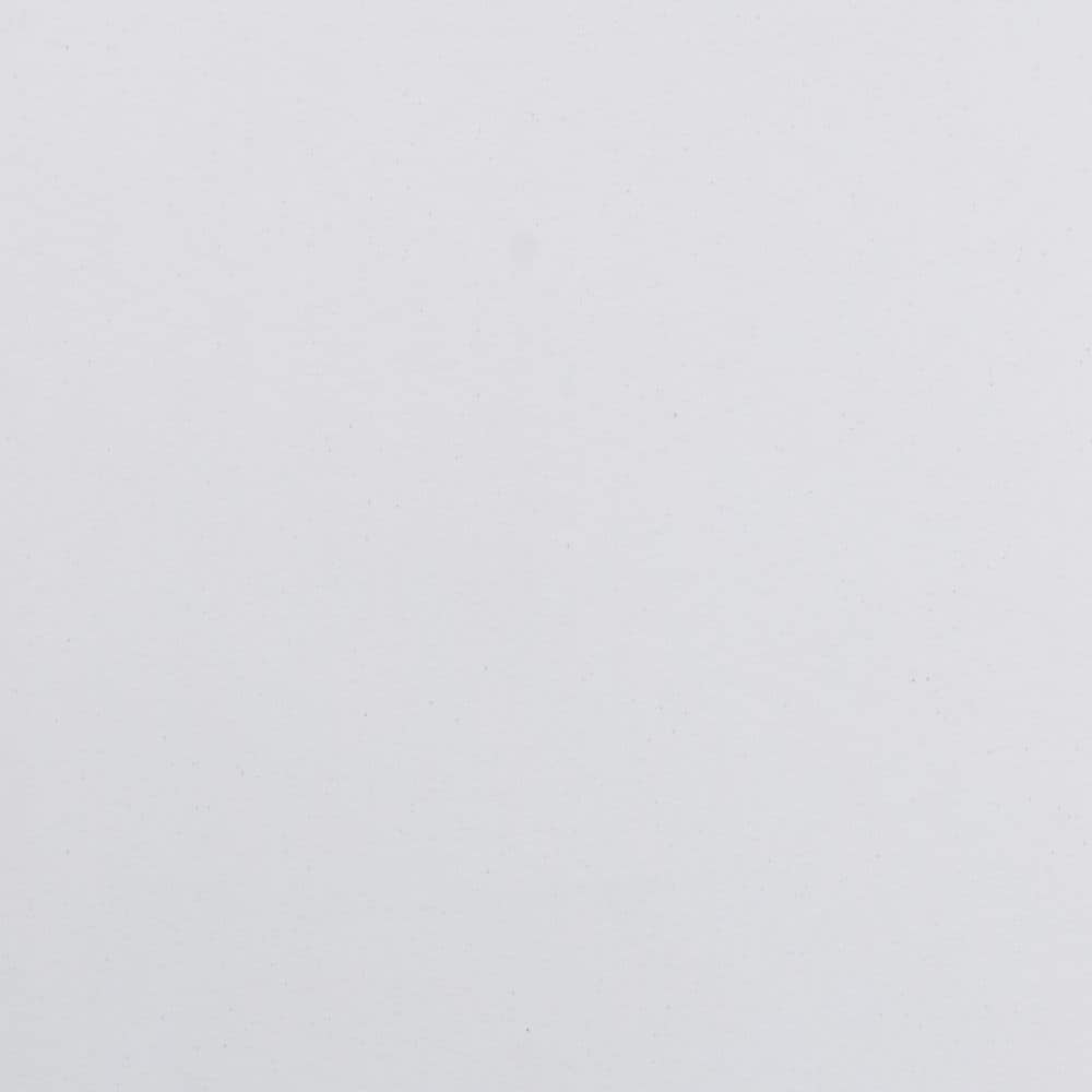 24x48 White Plastic Fold Table