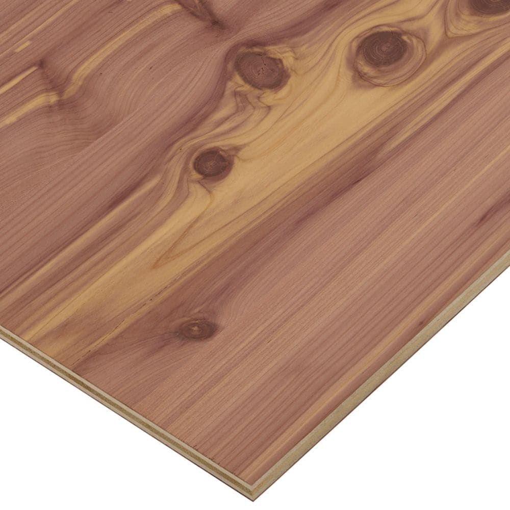 1/2in. X 2ft. X 4ft. Aromatic Cedar Plywood