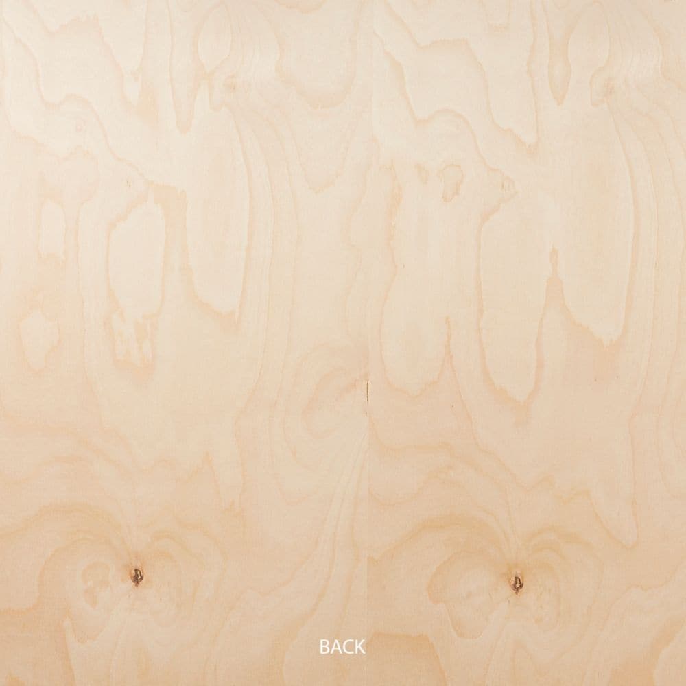 1/2in. X 2ft. X 4ft. Birch Plywood