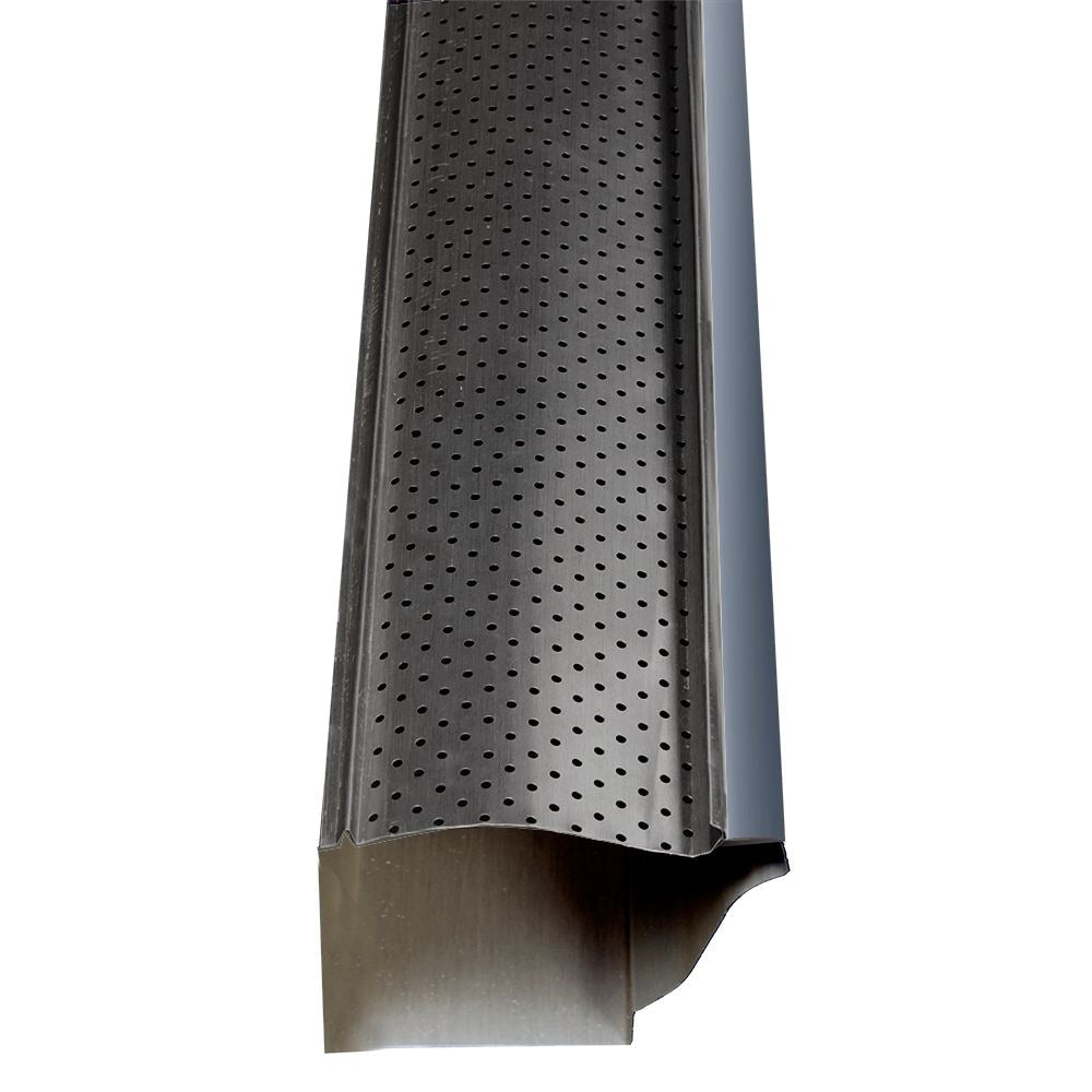 Carbon Black – Protège-gouttière (30 pieds)