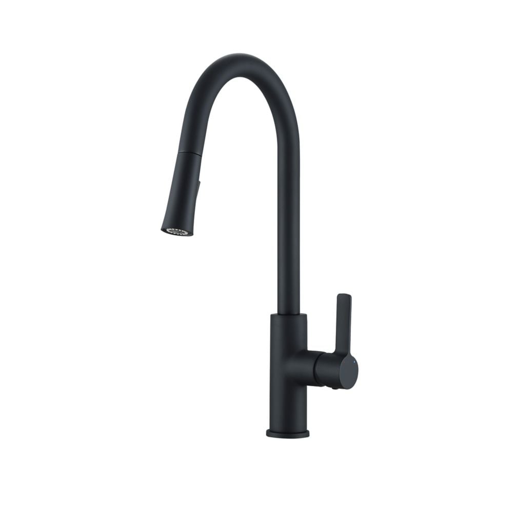 Aria Single-Handle Pull-Down Kitchen Faucet with Dual Spray in Matte Black