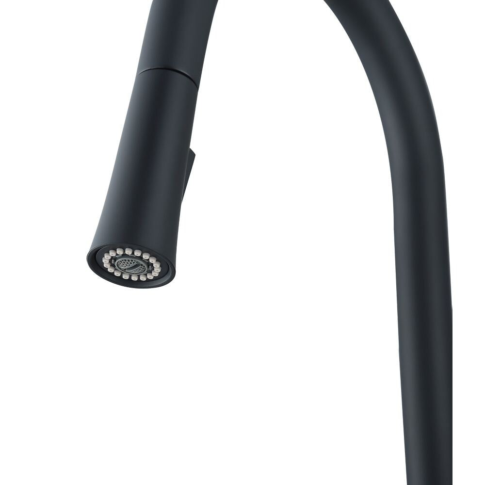 Aria Single-Handle Pull-Down Kitchen Faucet with Dual Spray in Matte Black