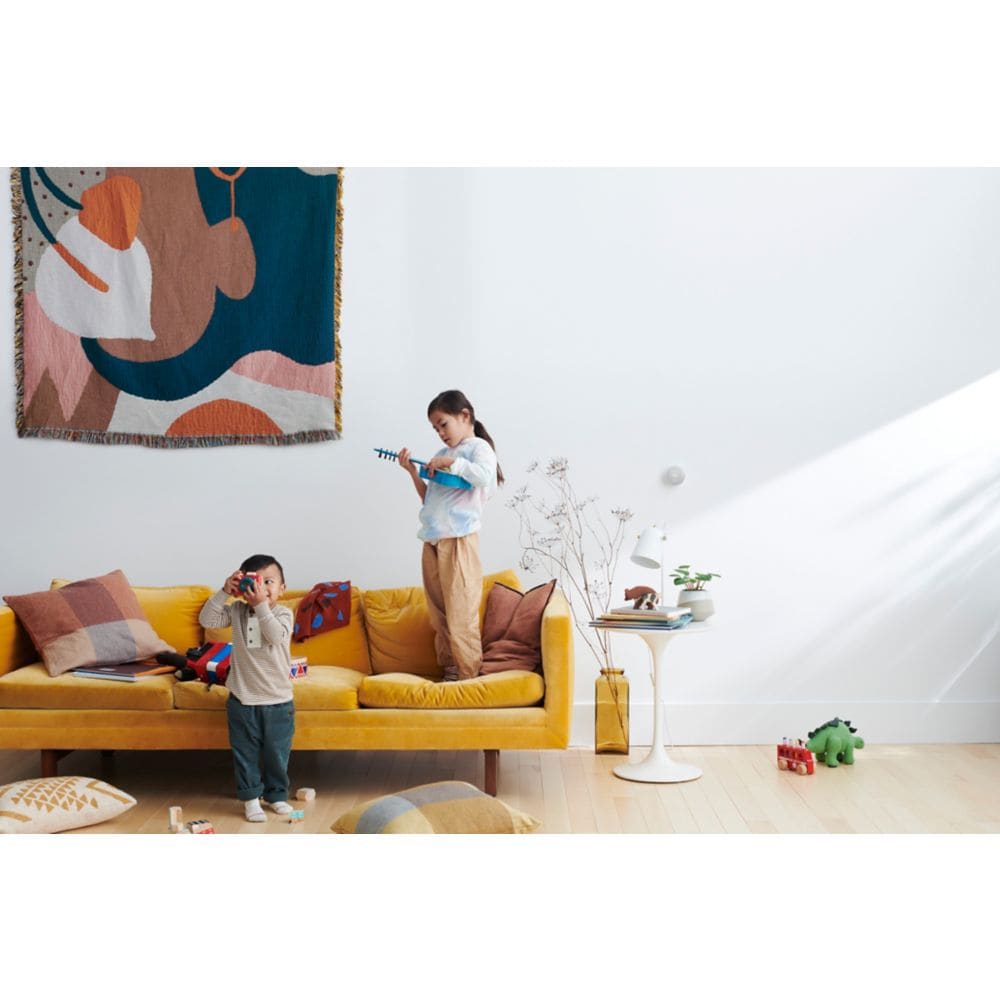 Nest Thermostat Snow