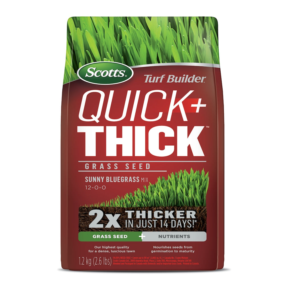Mélange de semences de gazon Turf Builder Quick + Thick Sunny Bluegrass 12-0-0 - 1,2 kg - 191 m2 (2 066 pi2)