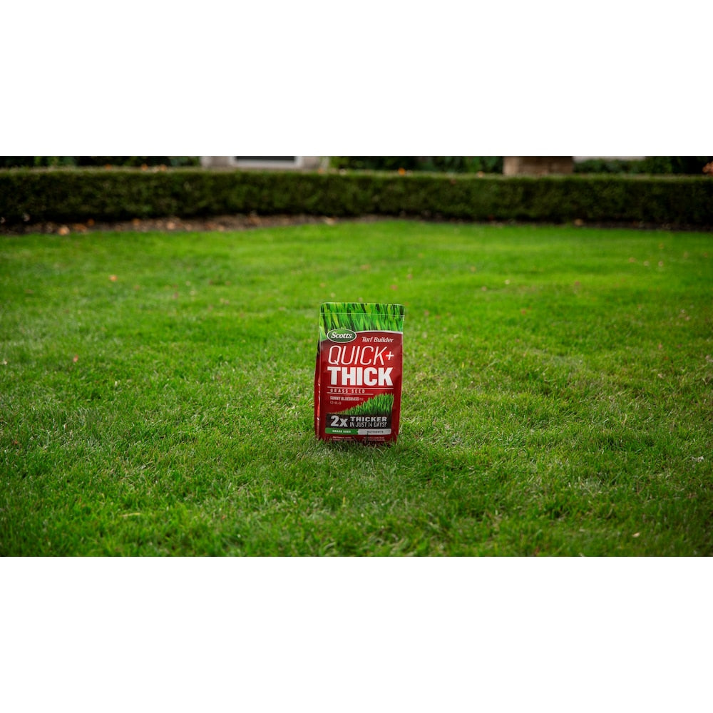 Mélange de semences de gazon Turf Builder Quick + Thick Sunny Bluegrass 12-0-0 - 1,2 kg - 191 m2 (2 066 pi2)