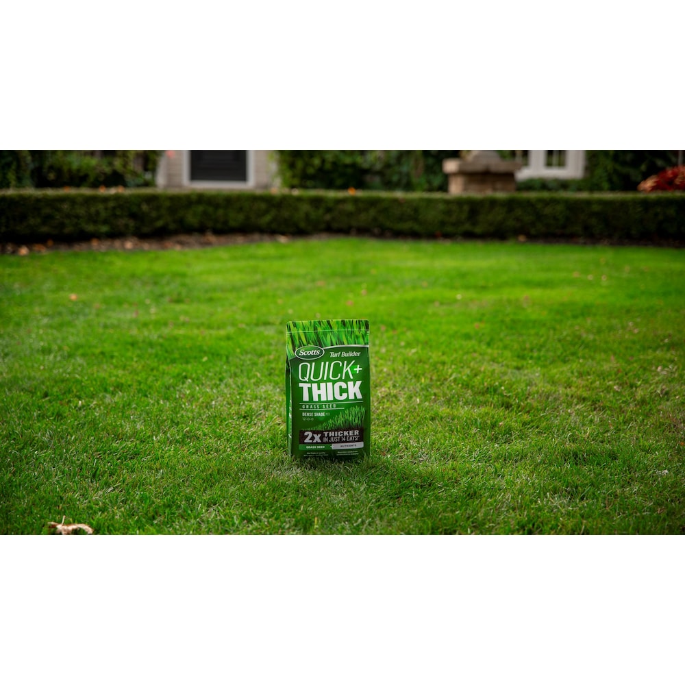 Mélange de semences de gazon Turf Builder Quick + Thick Dense Shade 12-0-0 - 1,2 kg - 162 m2 (1 751 pi2)