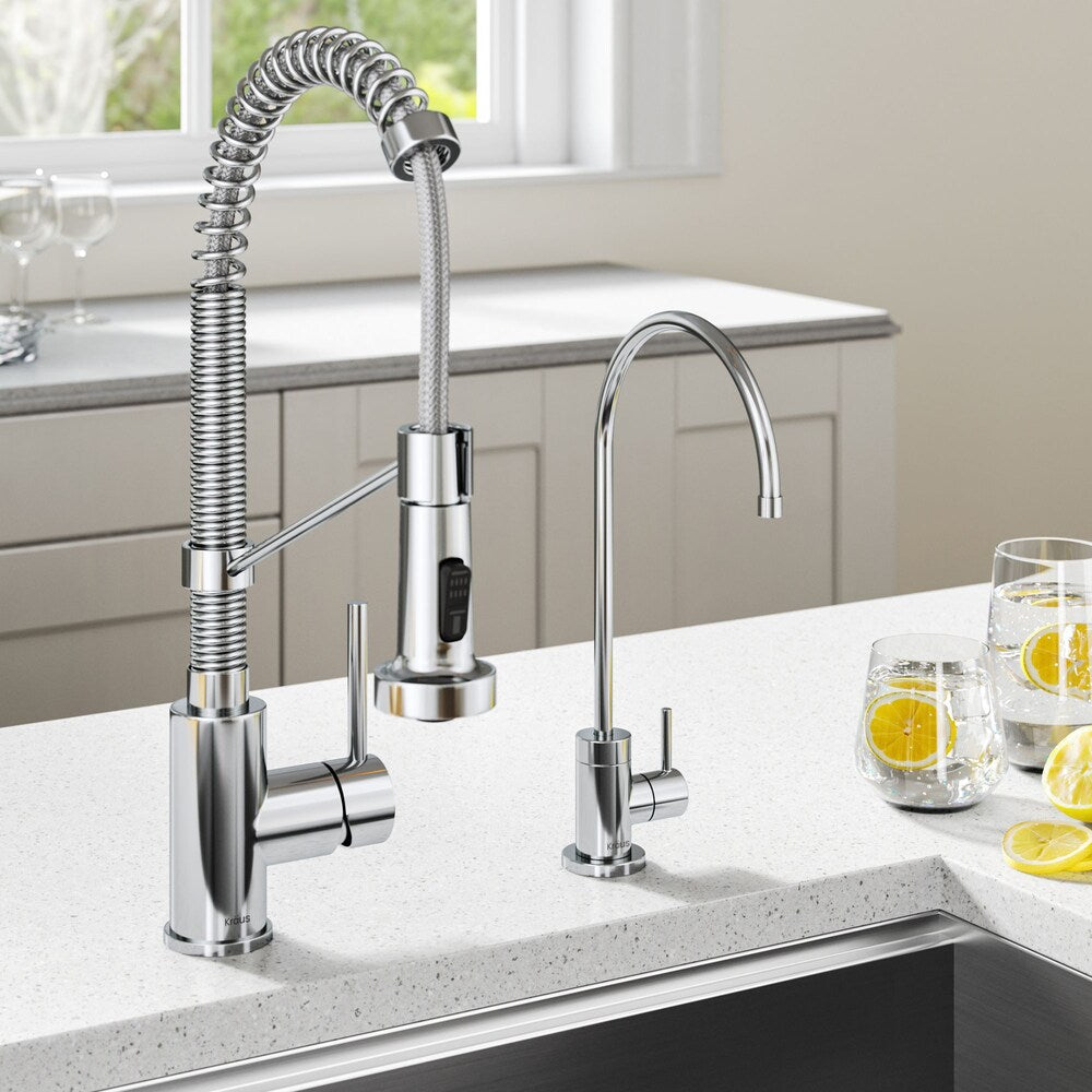 Bolden 1-Handle Pull-Down Faucet and Filtration Faucet in Chrome