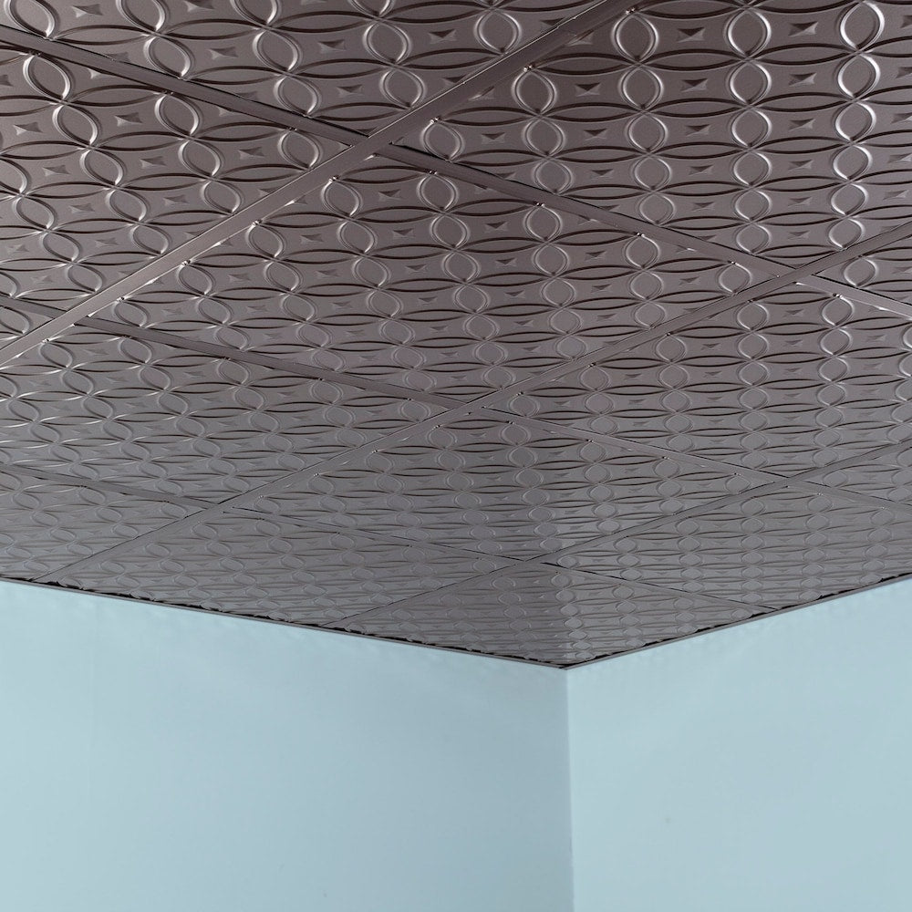 Anneaux, dalle de plafond à poser 2x2, finition nickel brossé, paquet de 5 (20 pi2)