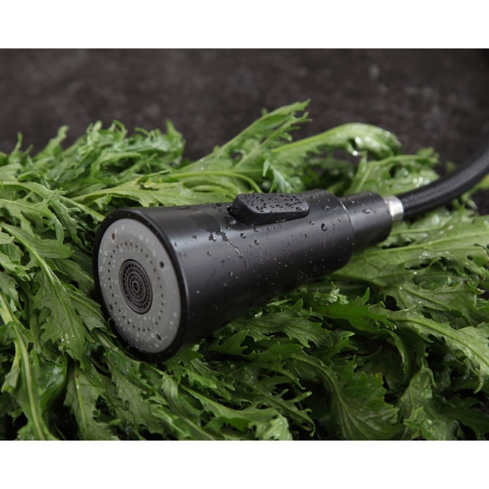 Carriage Single-Handle Standard Kitchen Faucet in Oil Rubbed Bronze