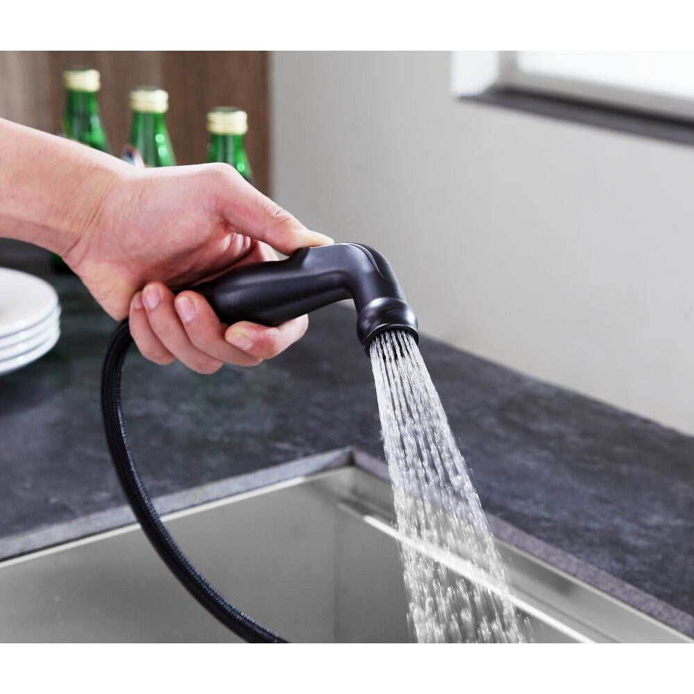 Highland Single-Handle Standard Kitchen Faucet with Side Sprayer in Oil Rubbed Bronze