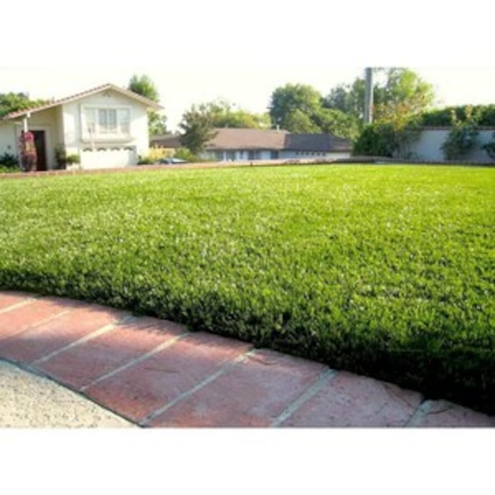 Tapis d'extérieur Fairway Green Turf 10 pi x 12 pi (environ)