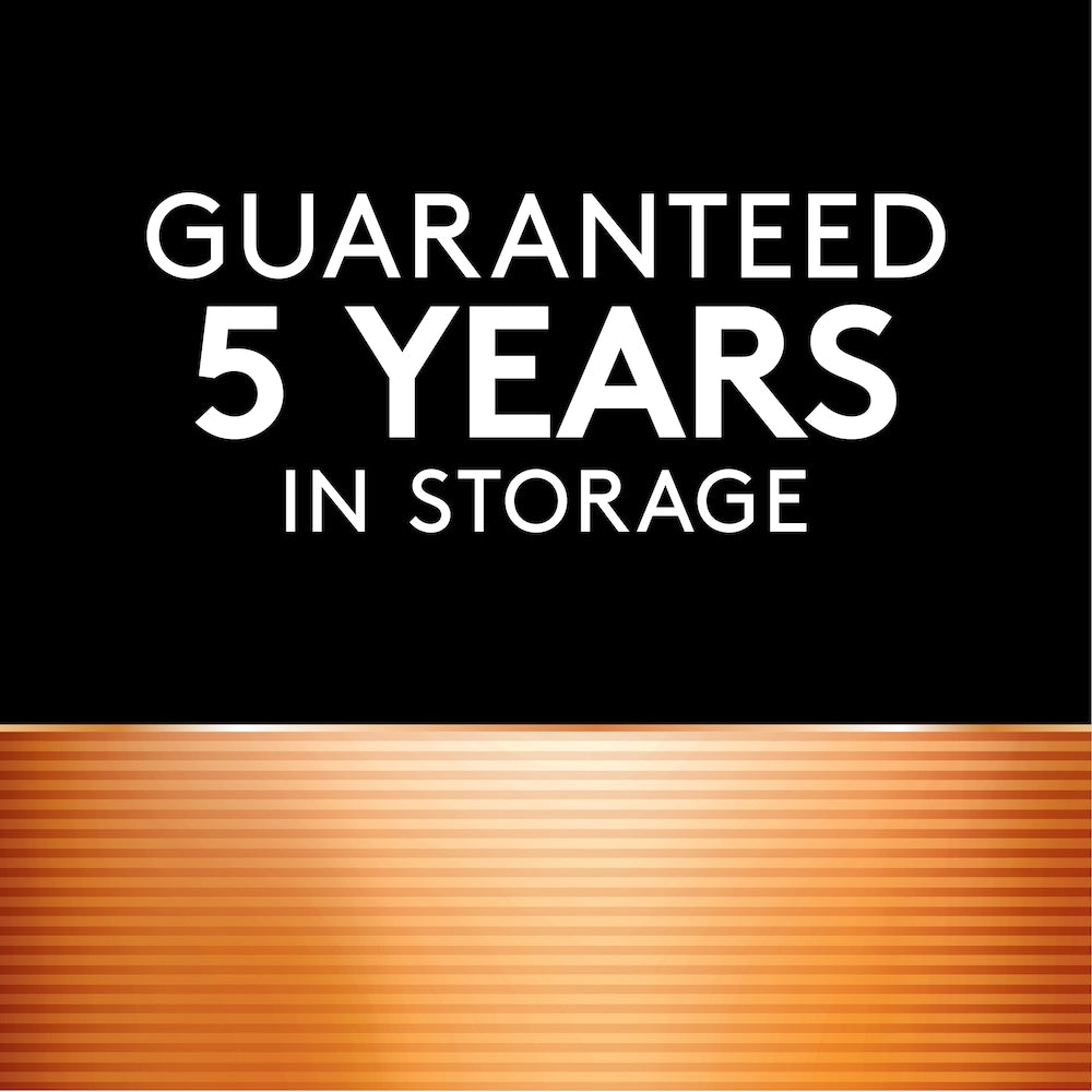 Coppertop 9v Battery, 2 pack, Alkaline 9 Volt Batteries