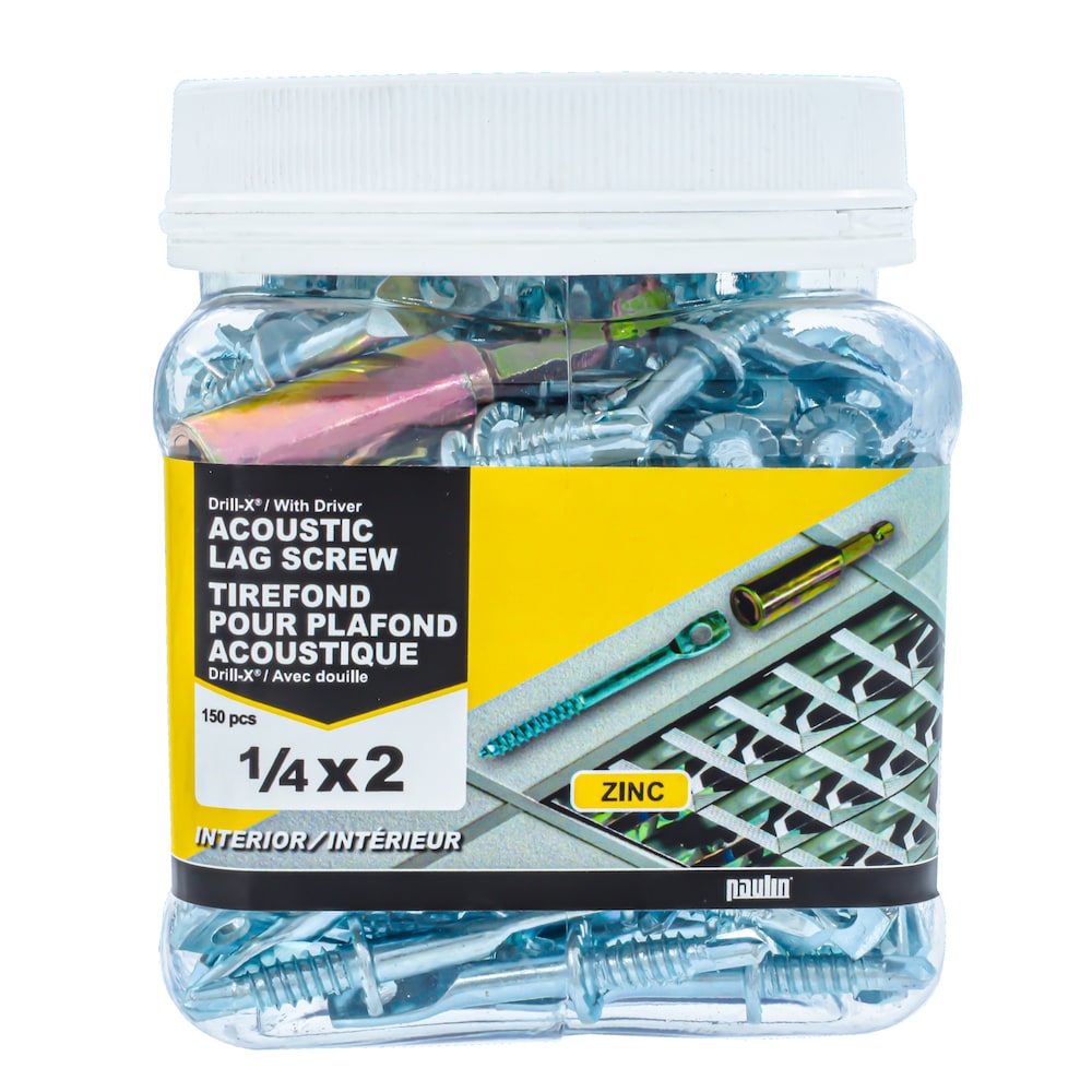 Vis à tête creuse acoustique Drill-X 1/4 po x 2 po avec tournevis, 150 pièces
